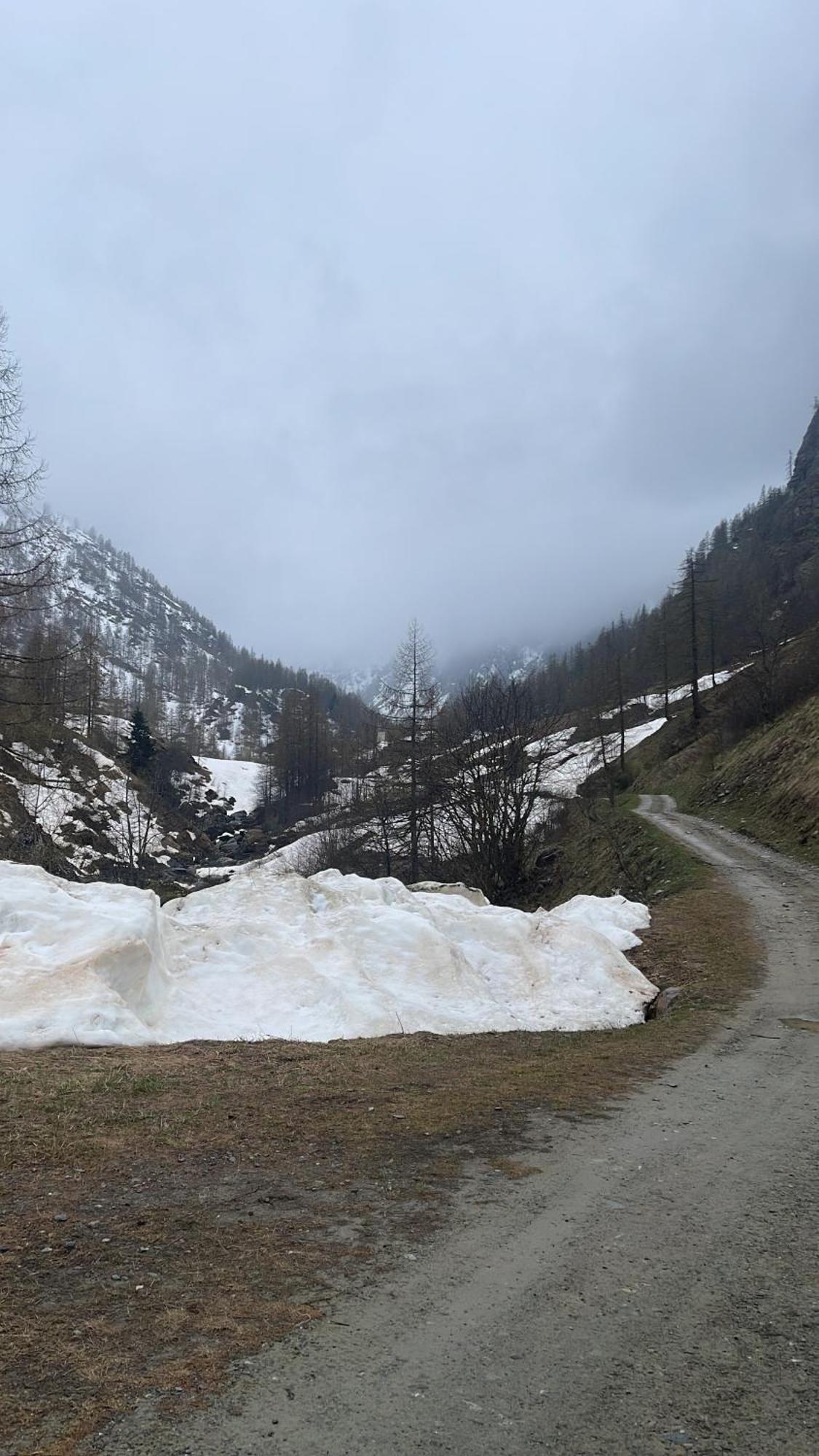 Laghi Di Como Appartamento Di Licinia E Mario Asso Екстер'єр фото