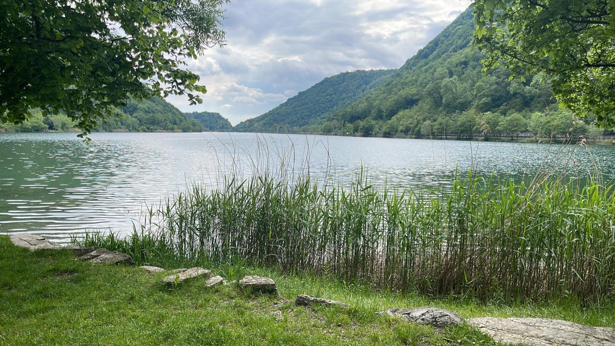 Laghi Di Como Appartamento Di Licinia E Mario Asso Екстер'єр фото